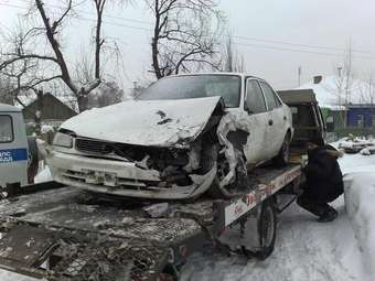 Corolla
