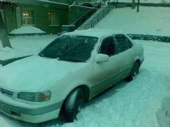 1997 Toyota Corolla