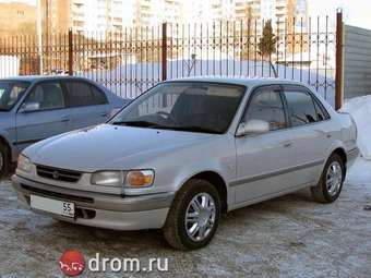 Corolla