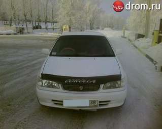 Corolla