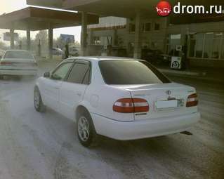 1997 Corolla