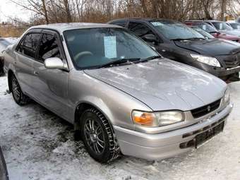 Corolla
