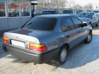 1997 Corolla