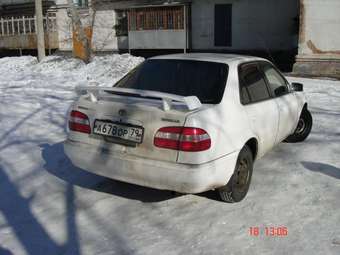 Corolla