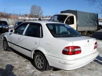 1997 Corolla