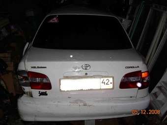 Corolla