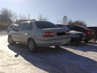 Corolla