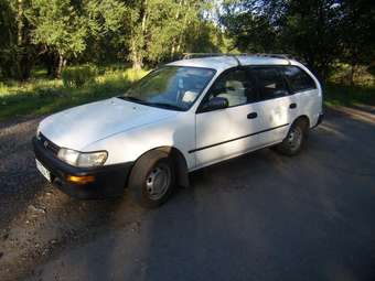 Corolla