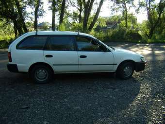 1997 Corolla