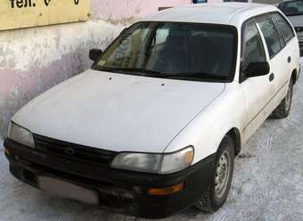 Corolla