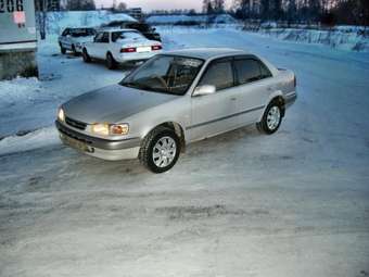 Corolla