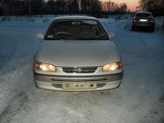 1997 Corolla