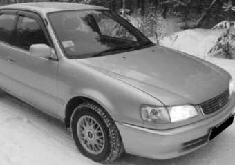 Corolla