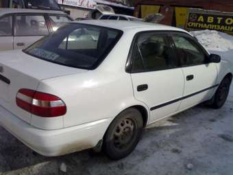 1997 Corolla