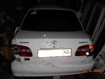 Corolla