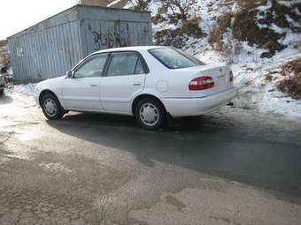 Corolla