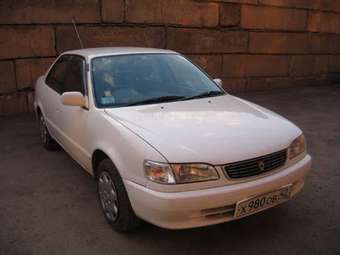 Corolla