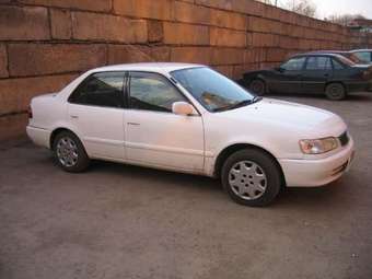 1997 Corolla