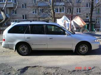 Corolla