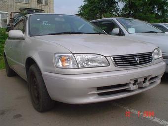 1997 Toyota Corolla