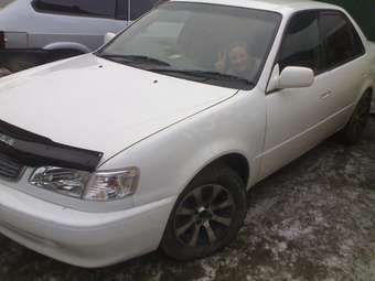 1997 Toyota Corolla Pictures