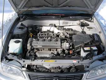 1997 Toyota Corolla Pictures