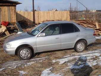 1997 Toyota Corolla Photos