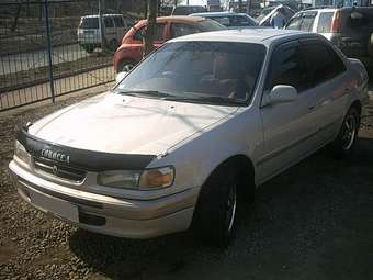 1997 Toyota Corolla Photos