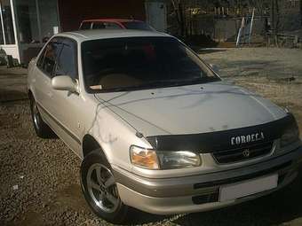 1997 Toyota Corolla Pictures