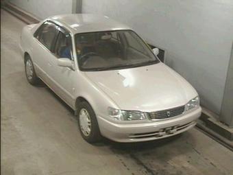 1998 Toyota Corolla