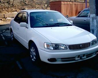 1998 Toyota Corolla