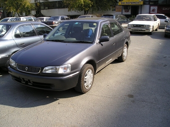 1998 Toyota Corolla