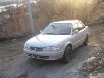 1998 Toyota Corolla