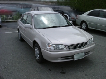 1998 Toyota Corolla