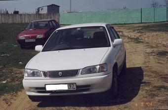 1998 Toyota Corolla