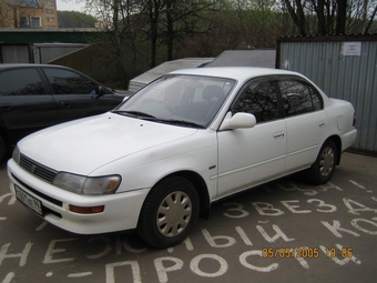 1998 Toyota Corolla