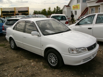 1998 Toyota Corolla