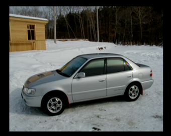 1998 Toyota Corolla