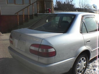 1998 Toyota Corolla