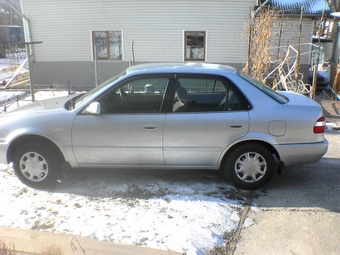 Corolla