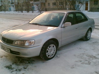 1998 Corolla