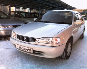 Corolla