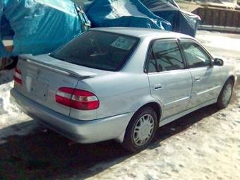 1998 Corolla