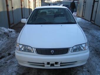 Corolla
