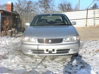 1998 Toyota Corolla