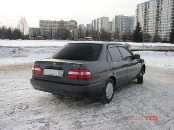 1998 Corolla