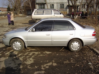 1998 Corolla