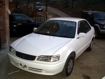 1998 Toyota Corolla