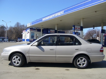 1998 Corolla