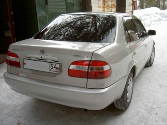 1998 Corolla